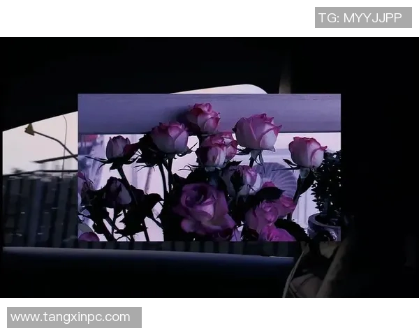 igao糖心vlog igao糖心vlog版本-探究igao糖心Vlog的独特魅力，一个新视角的解析与版本解读-igao糖心vlog igao糖心vlog版本