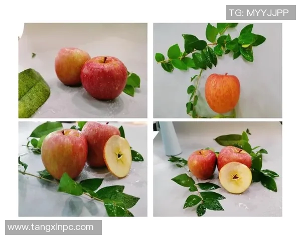 txg糖心果app-TXG糖心果APP—探秘甜品的数字化世界-txg糖心果app txg糖心果app-TXG糖心果APP—探秘甜品的数字化世界-txg糖心果app