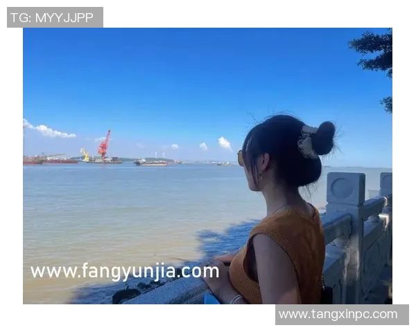 vlogcom糖心官网入口-探索VlogCom糖心官网入口 全新的视频体验之旅-vlogcom糖心官网入口